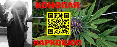 сатива Кинель