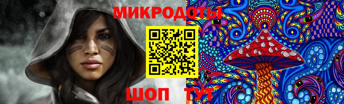 Галлюциногенные грибы Psilocybine cubensis Топки