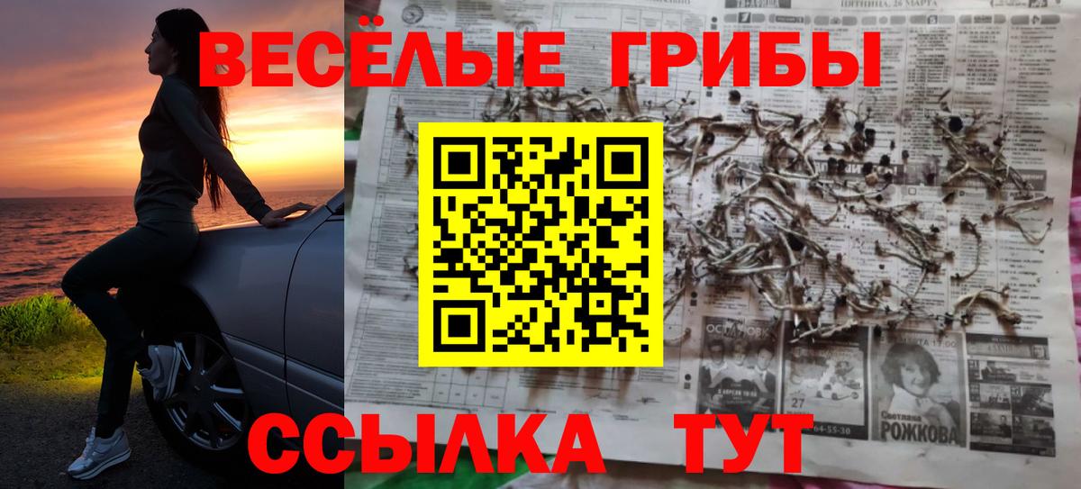 Псилоцибиновые грибы ЛСД  Вход с VPN  Топки 